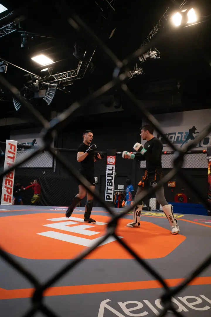FightIQ — mma-studio in Zuidoost, Amsterdam — 2