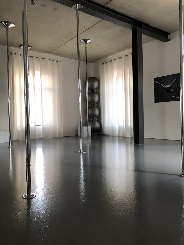Karina Kocksch — pole fitness-studio in Mitte, Landau in der Pfalz — 2