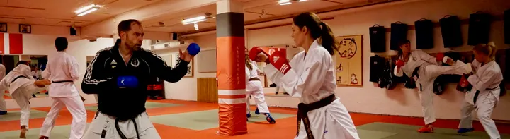 Sanshin Kan Södermalm Karateklubb — martial arts-studio in Södermalm, Stockholm — 3
