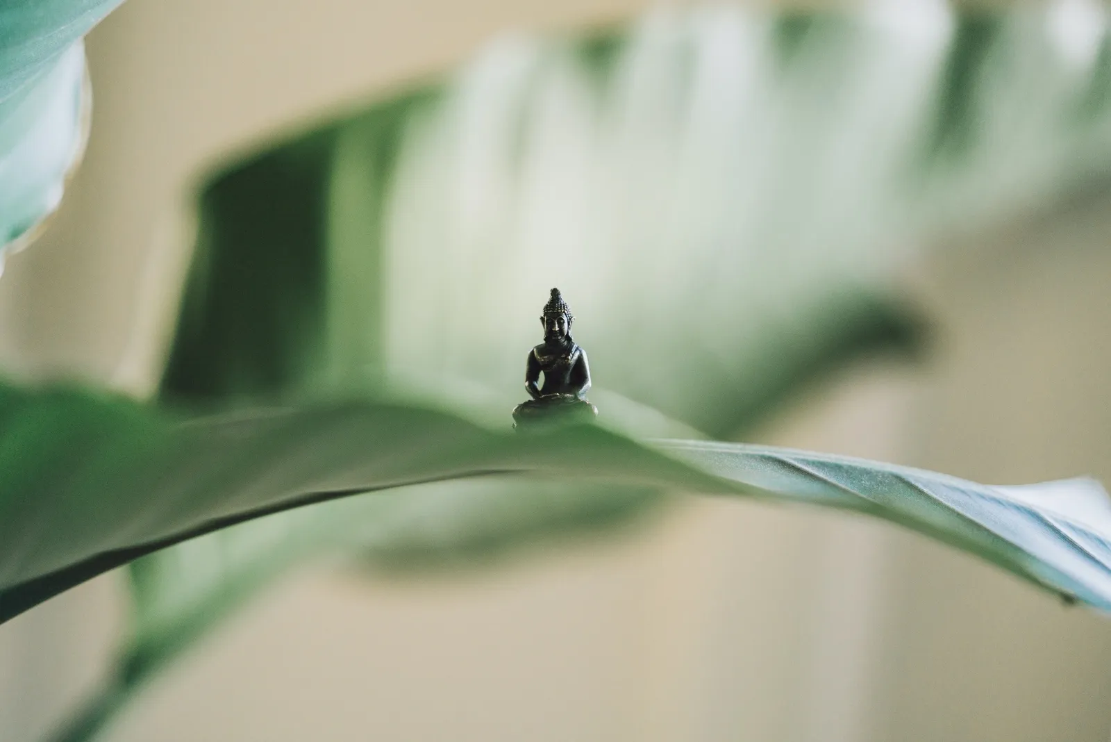 MariaNinolesWellness Ayurveda Breathwork Massage - Acue8 — meditation-studio in Dalston, London — 3