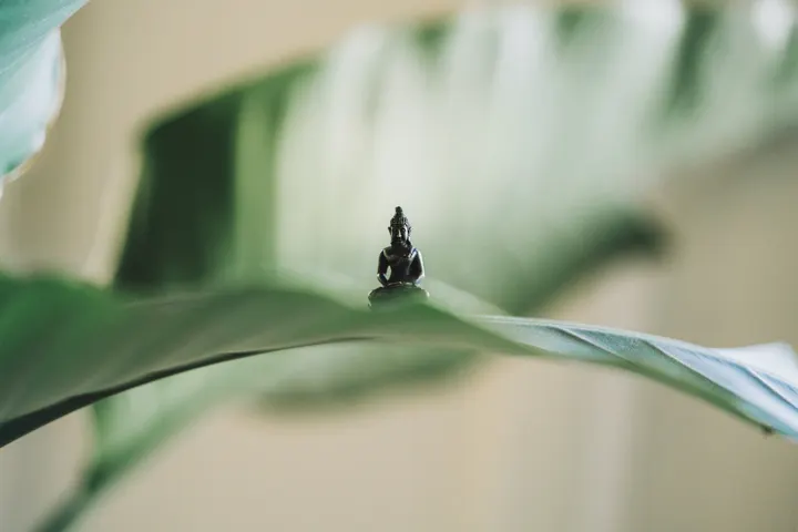 Maria Ninoles Ayurveda — meditation-studio in Shacklewell, London — 3