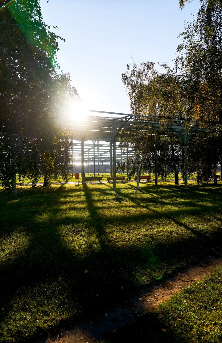Sport in Berlin - Sport im Park - Bootcamp Fitnesstraining Outdoor — bootcamp-studio in Prenzlauer Berg, Berlin — 2