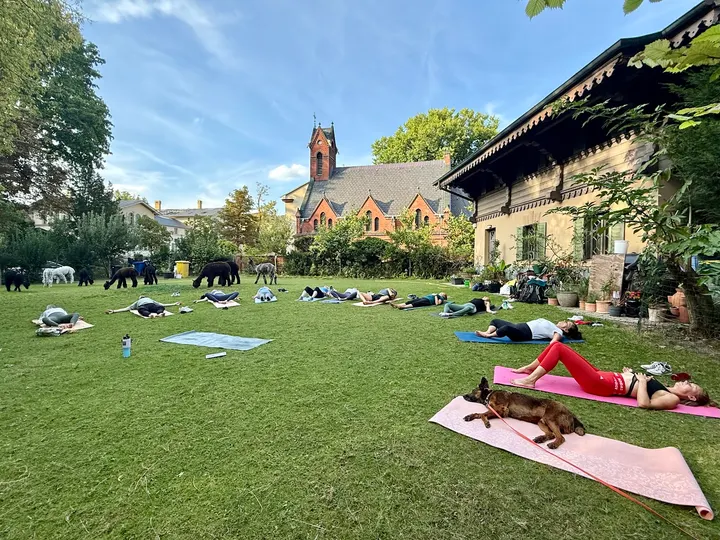 Lahari Yoga Potsdam — yoga-studio in Historische Innenstadt, Potsdam — 2