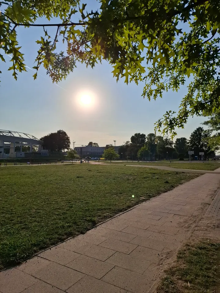 fitcamp – Outdoor Fitness Bootcamp Dresden – Fitnessstudio im Park – Treffpunkt — functional training-studio in Friedrichstadt, Dresden — 2