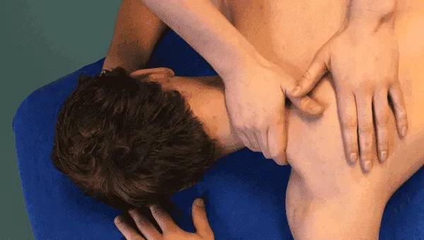 Academas Health — Wellness in Leusden-Zuid, Leusden