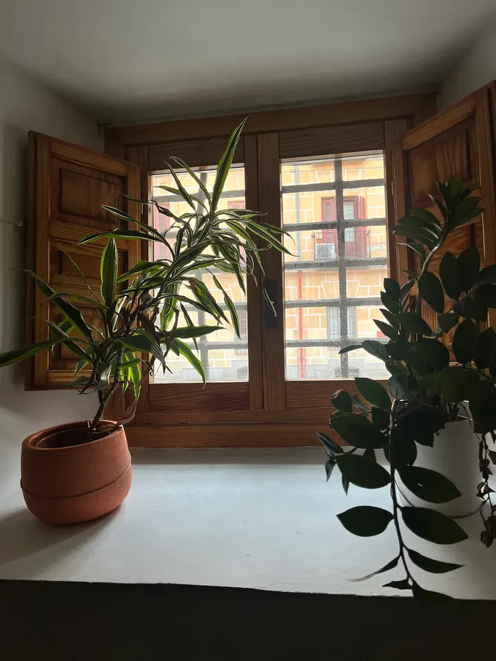 More Yoga Madrid — yoga-studio en Palacio, Madrid — 3