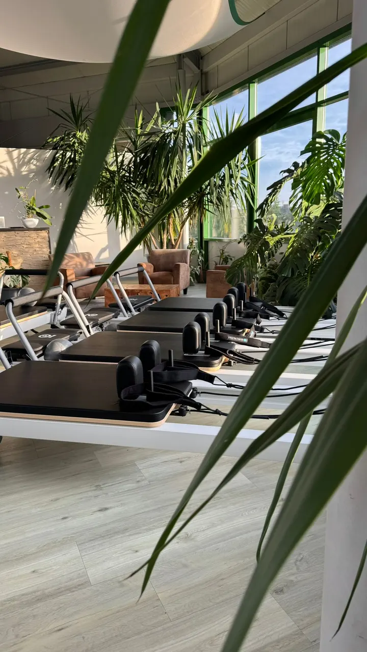 Origin — fitnessstudio in Abstatt — 4