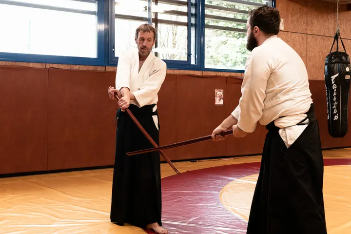 SANTSU AIKIDO — arts martiaux-studio à Secteur 4, Grenoble — 2