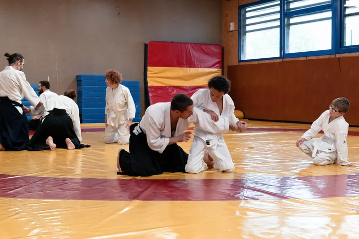 SANTSU AIKIDO — arts martiaux-studio à Grenoble — 3