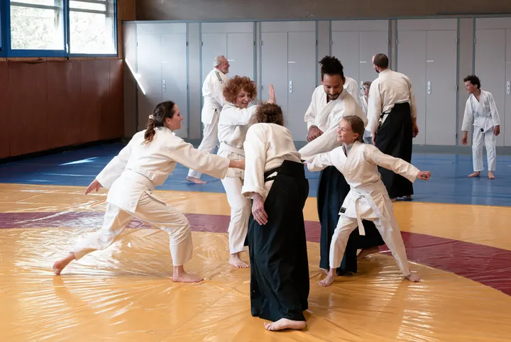 SANTSU AIKIDO — Arts martiaux à Secteur 4, Grenoble