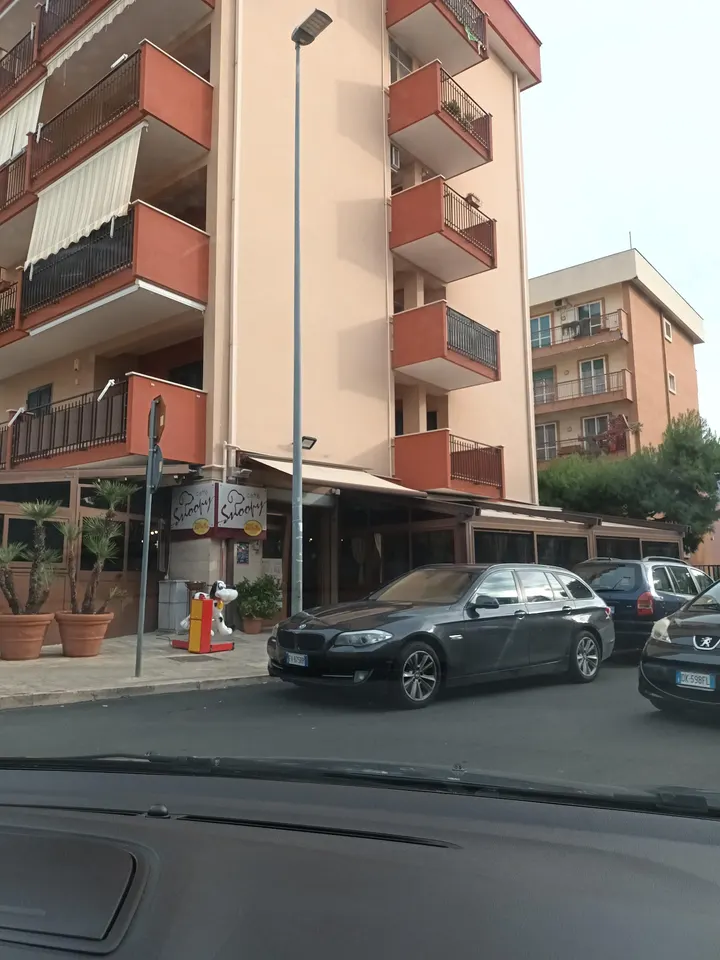YesFitness Bisceglie — palestre-studio a Bisceglie — 3