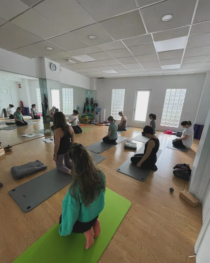 Alma y Movimiento Estudio de baile y pilates — pilates-studio en Pozuelo de Alarcón — 5