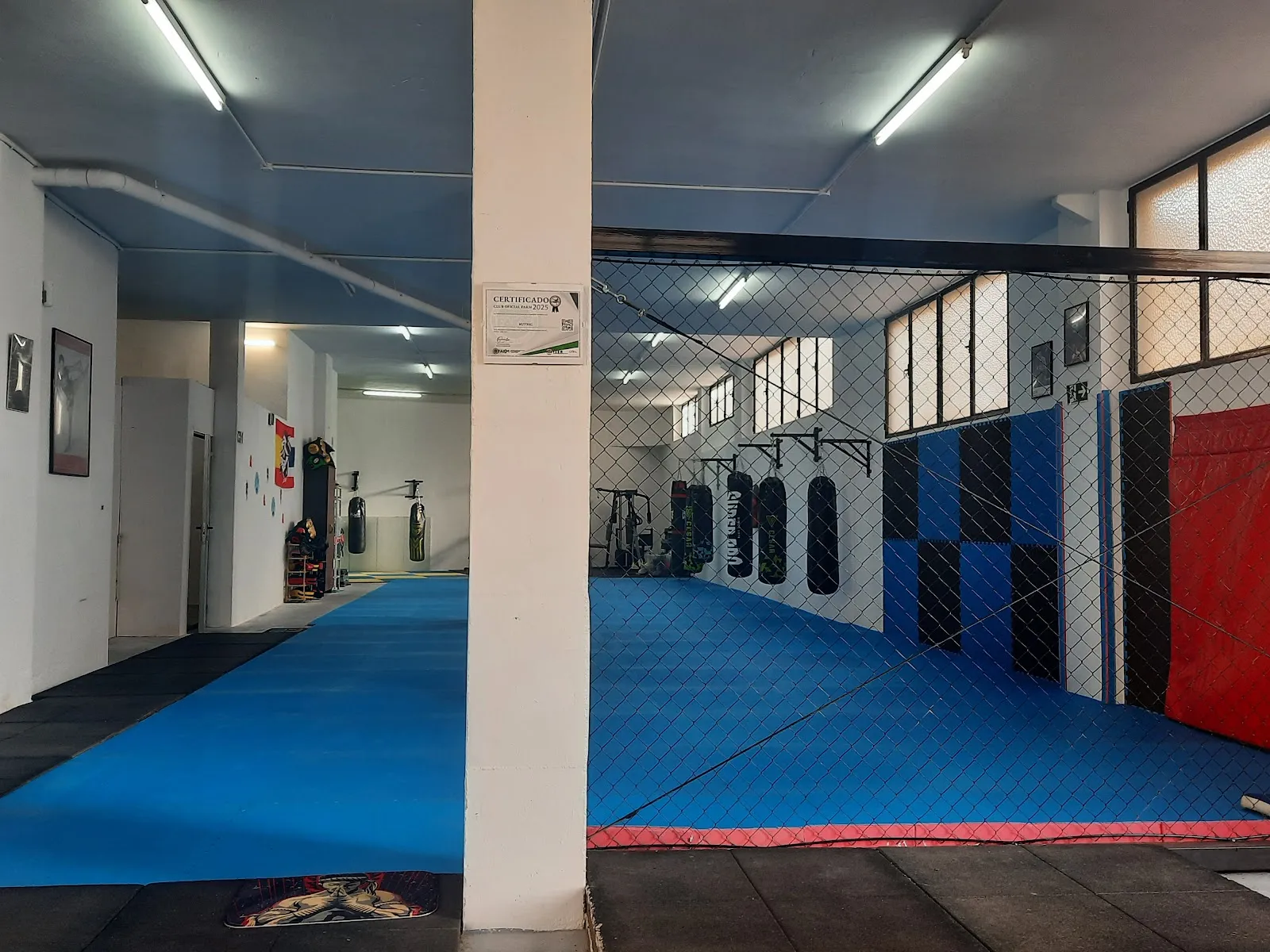 Club Mustang - Artes marciales en Viator — artes marciales-studio en Viator — 2