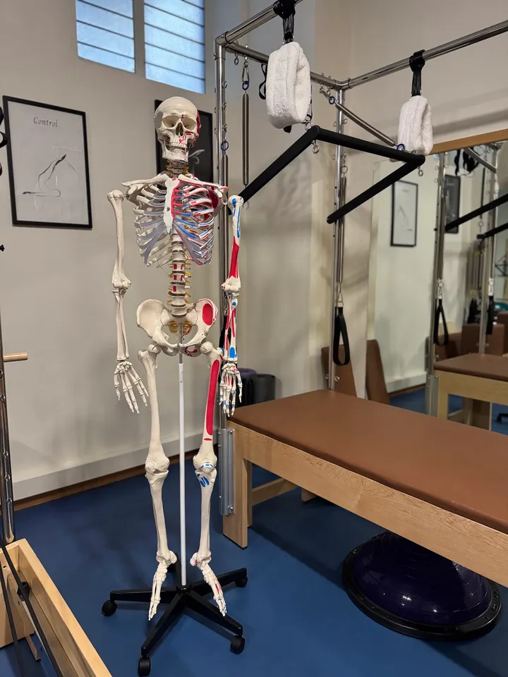 Gabriela Girardi Pilates E Osteopatia — pilates-studio a Crocetta, Torino — 2