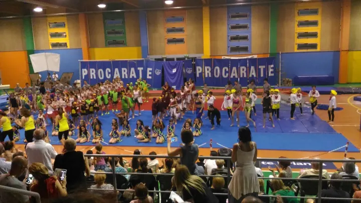 Ginnastica ProCarate — arti marziali-studio a Carate Brianza — 2