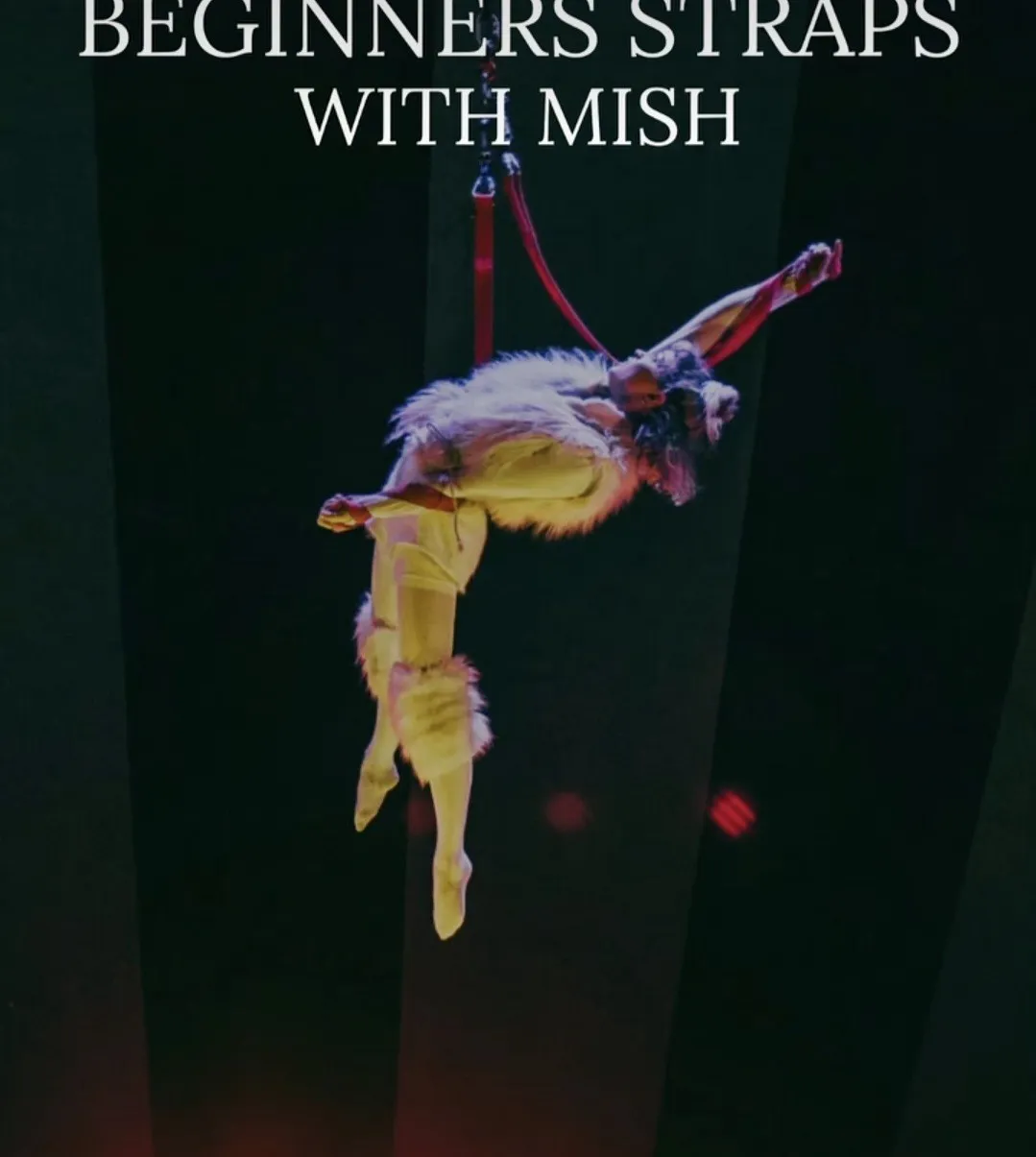 Rise Aerial Acrobatics — aerial-studio in Willowfield, Belfast — 2
