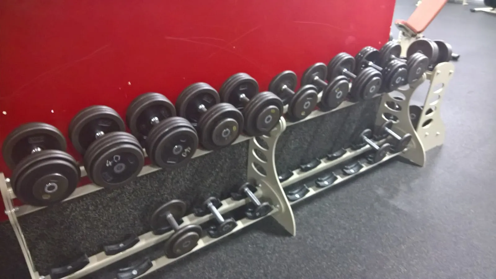 4 ever Fitness Rostock GmbH — fitnessstudio in Stadtmitte, Rostock — 3