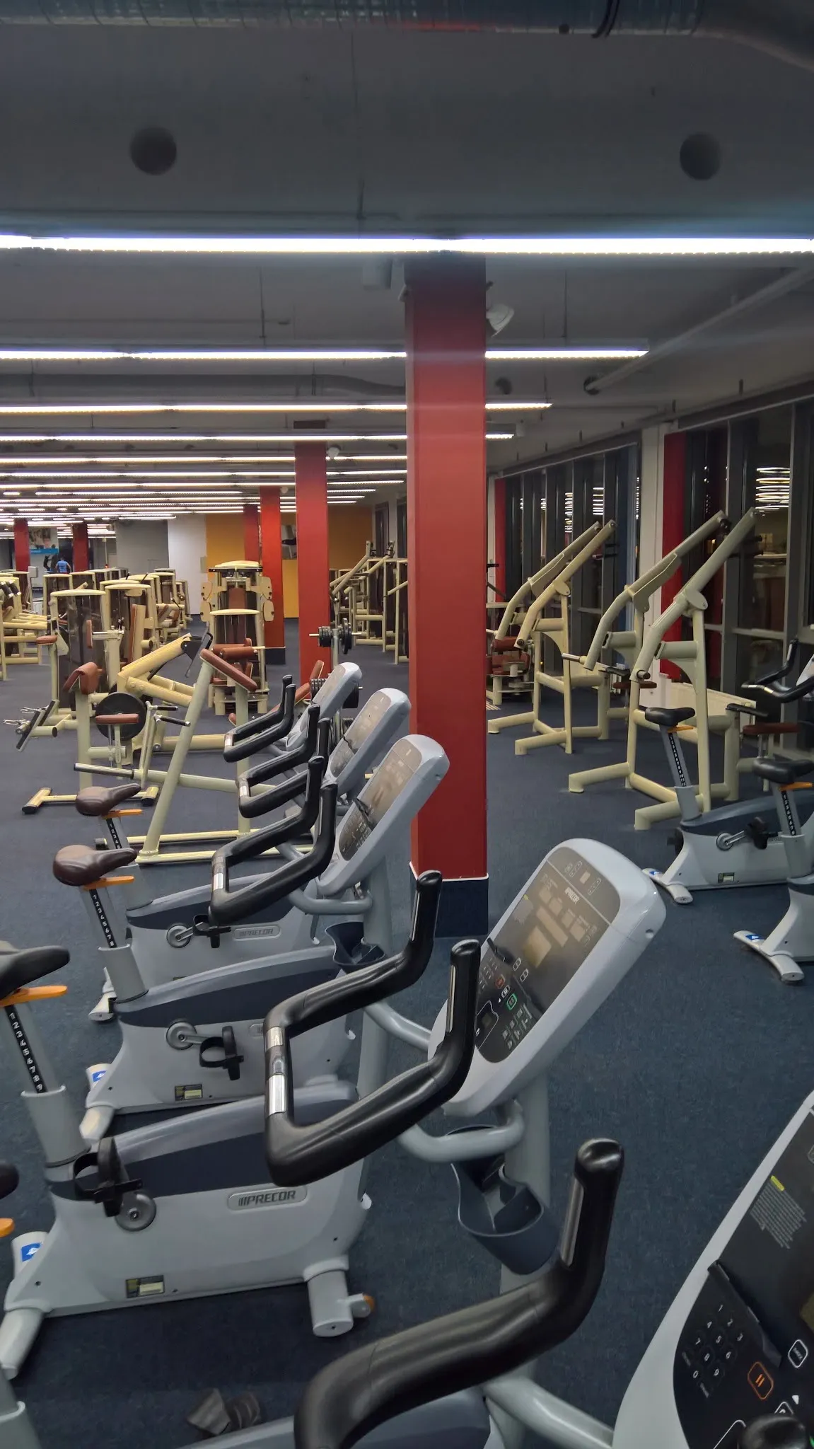 4 ever Fitness Rostock GmbH — fitnessstudio in Rostock — 4