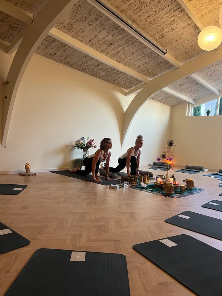 Namastien — Yoga in Westzaan