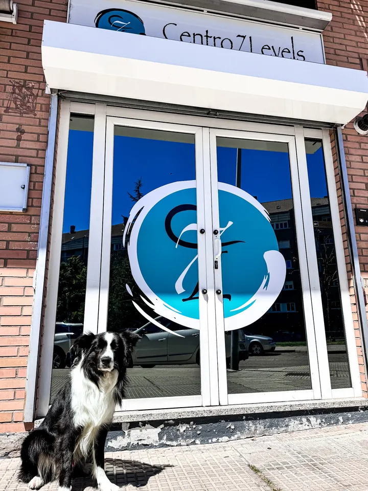 Centro 7Levels — Pilates en San Lorenzo - La Palomera - San Mamés, León