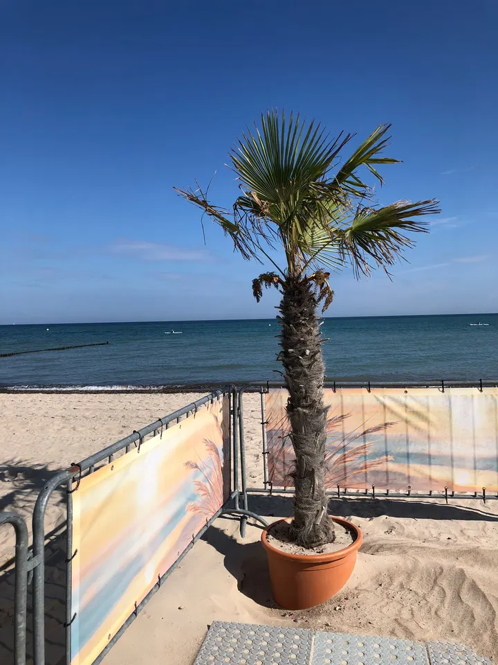 YOGA INN Rostock — yoga-studio in Rostock — 4
