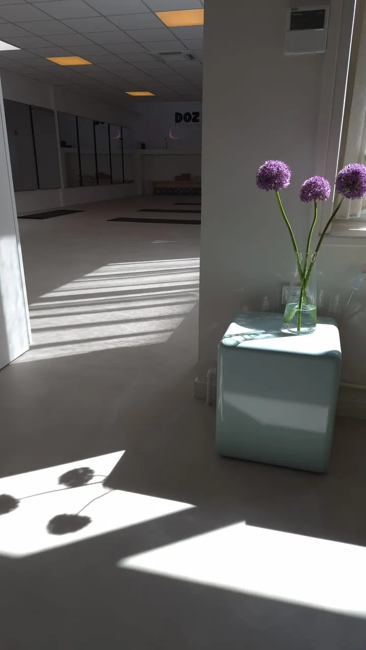 DOZ Studios Le Havre — yoga-studio au Havre — 5