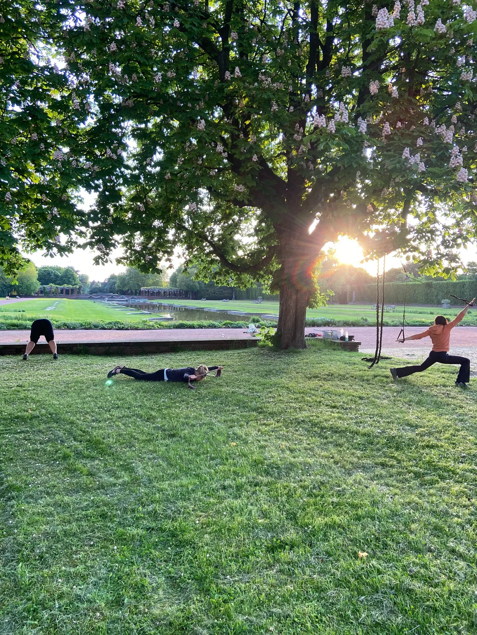 Wiesenworkout Rebstockpark Frankfurt — träningsstudio i Frankfurt am Main — 2
