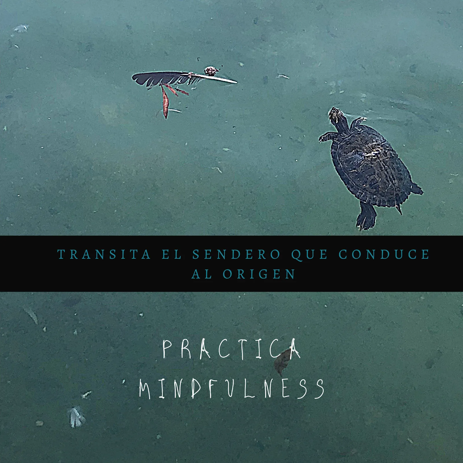 MINDFU Mindfulness Fuenlabrada — meditación-studio en El Arroyo, Fuenlabrada — 2