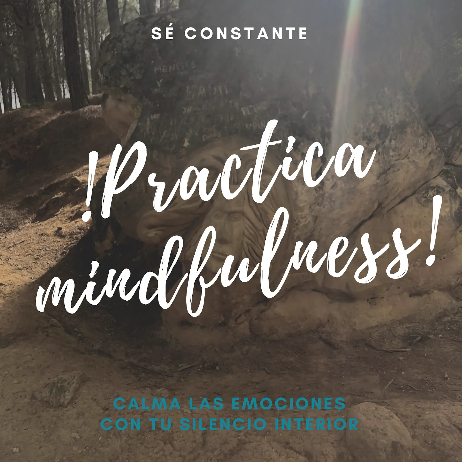 MINDFU Mindfulness Fuenlabrada — meditación-studio en Fuenlabrada — 3