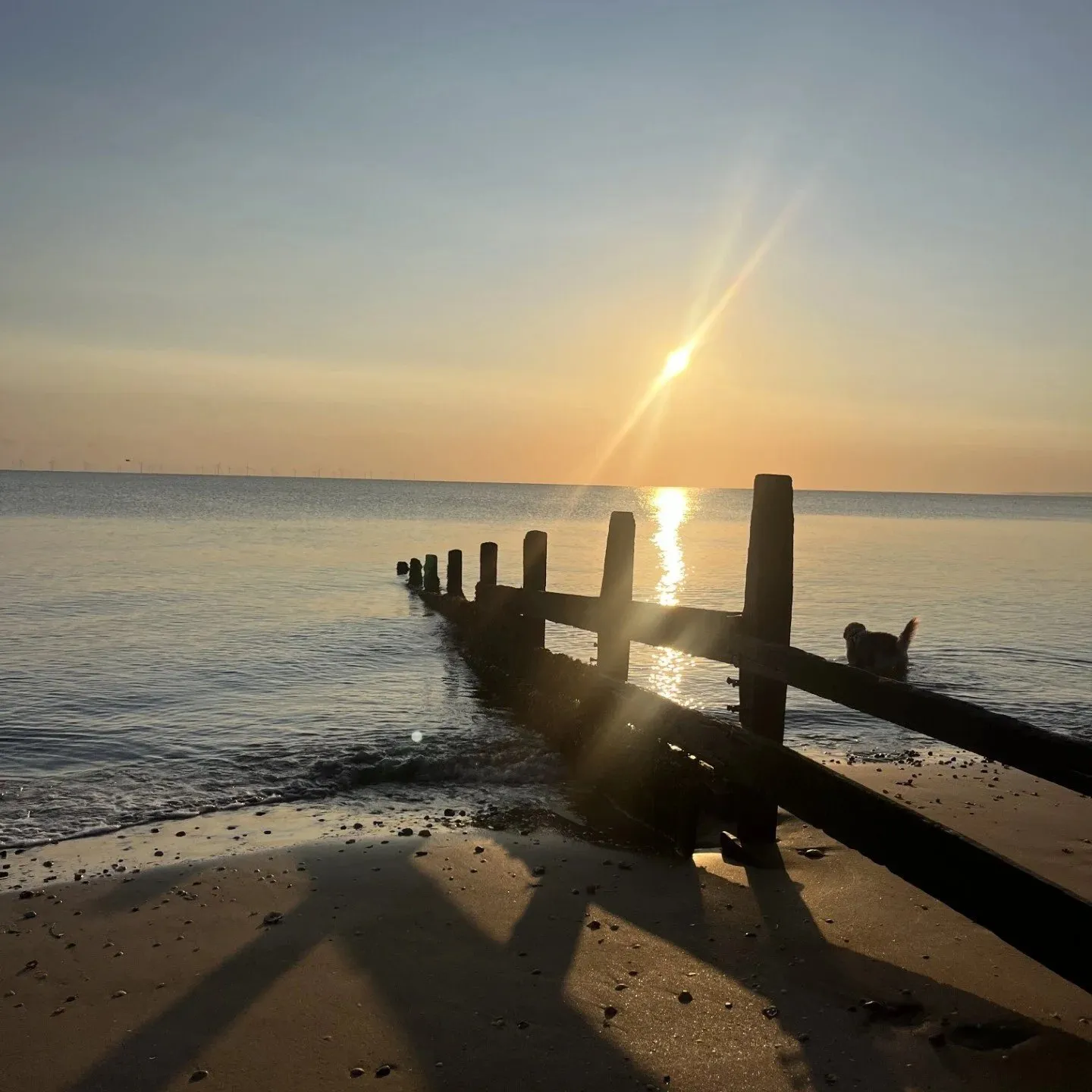 Sittingbourne Yoga — yoga-studio in Sittingbourne — 2