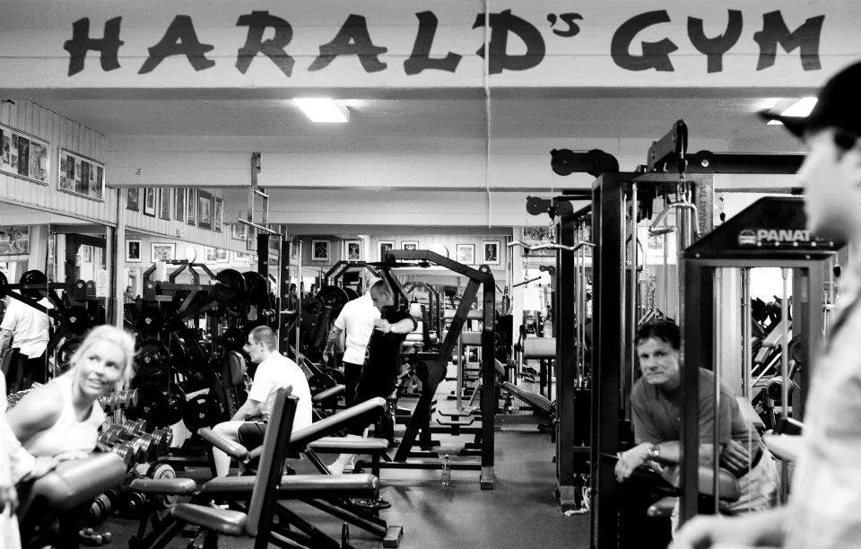 Harald's Gym — treningsstudio-studio i Oslo — bild 3