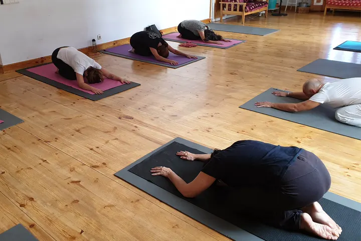 Borja Yoga Y Terapia — yoga-studio en Madrid — 4