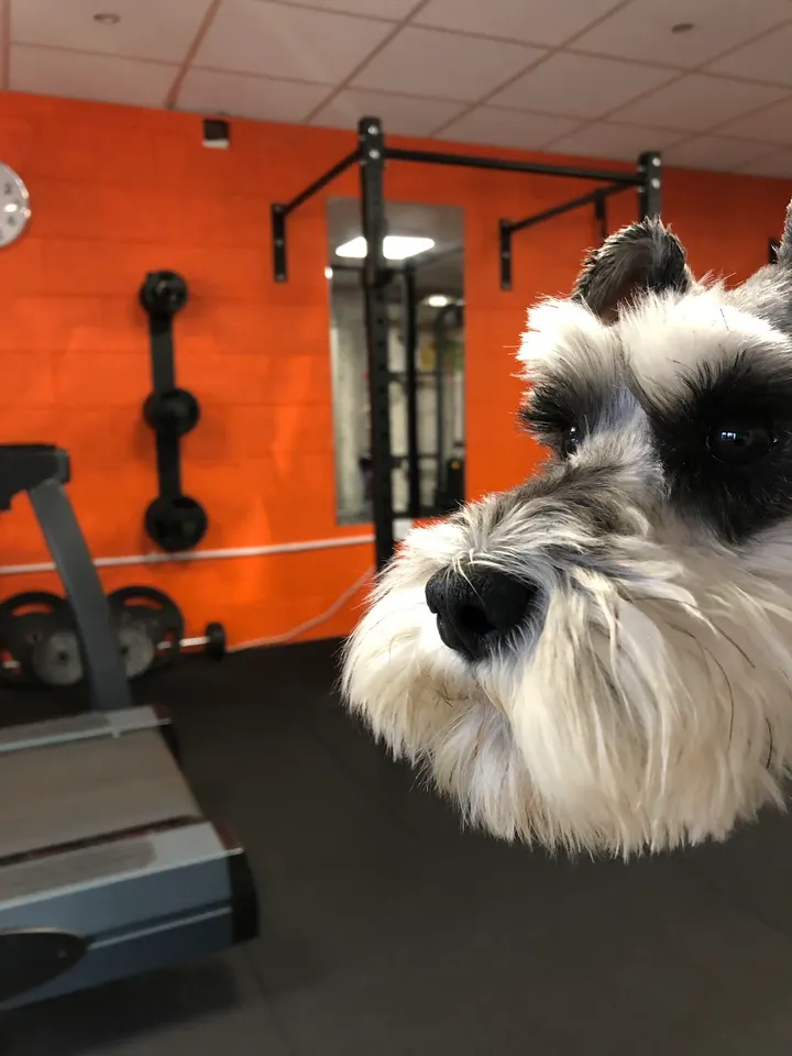 Elite Personal Training Studio — pt studio in Belfast — 2