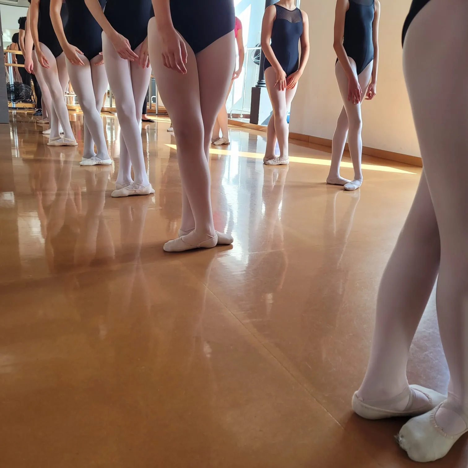 academiaantoniosoler — baile-studio en Jaén — 3