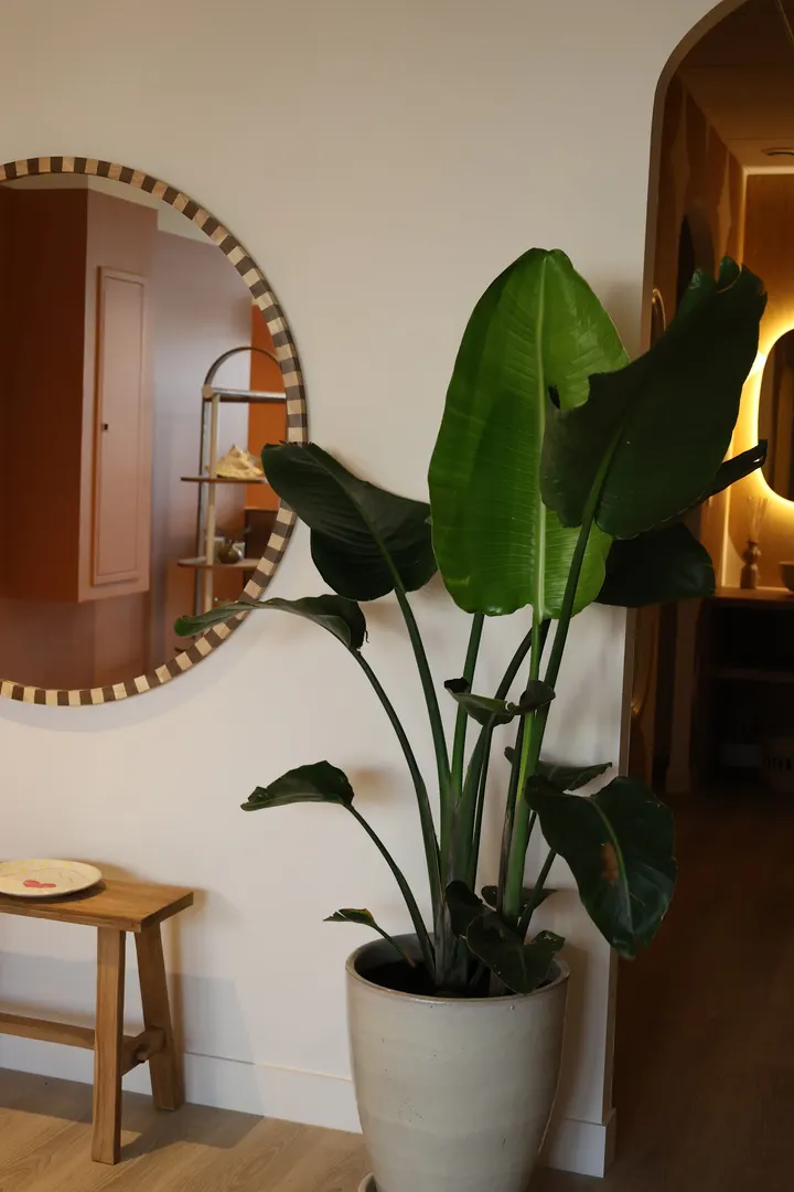 Peach Pilates Club — pilates reformer-studio à Marseille — 5