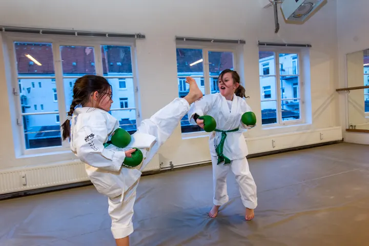 Kampfkatzen Frauenselbstverteidigung — Kampfsport in Ottensen, Hamburg
