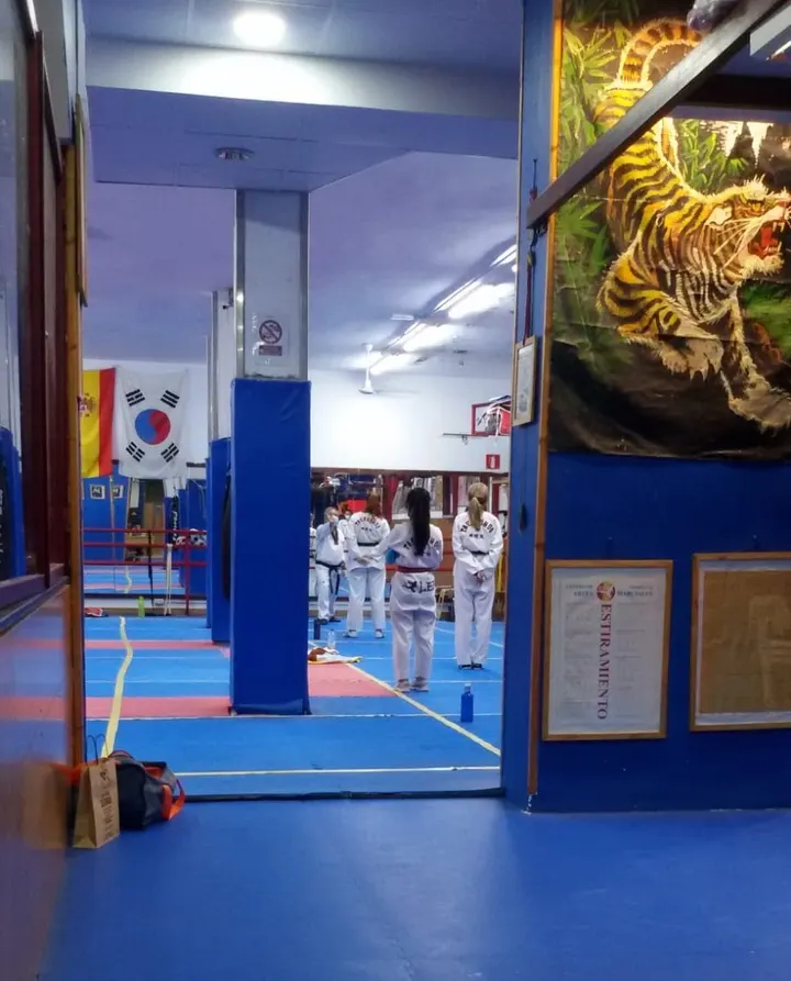 Gimnasio Lee — artes marciales-studio en Las Palmas de Gran Canaria — 4