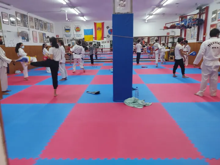 Gimnasio Lee — Artes marciales en Lugo, Las Palmas de Gran Canaria