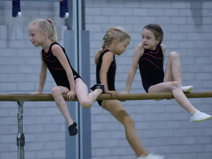 Alg.Gym.Ver. FIT Lisse — Sportschool in Lisse