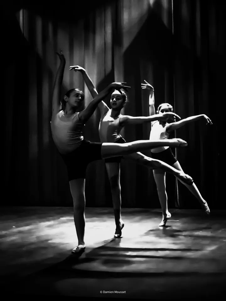 Centre Artistique Danse Grigorian — danse-studio à Lyon — 4