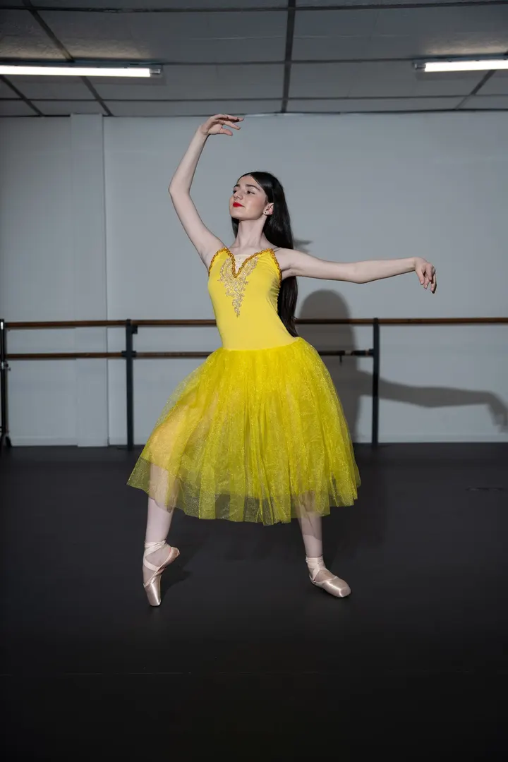 Centre Artistique Danse Grigorian — Danse à Décines-Charpieu