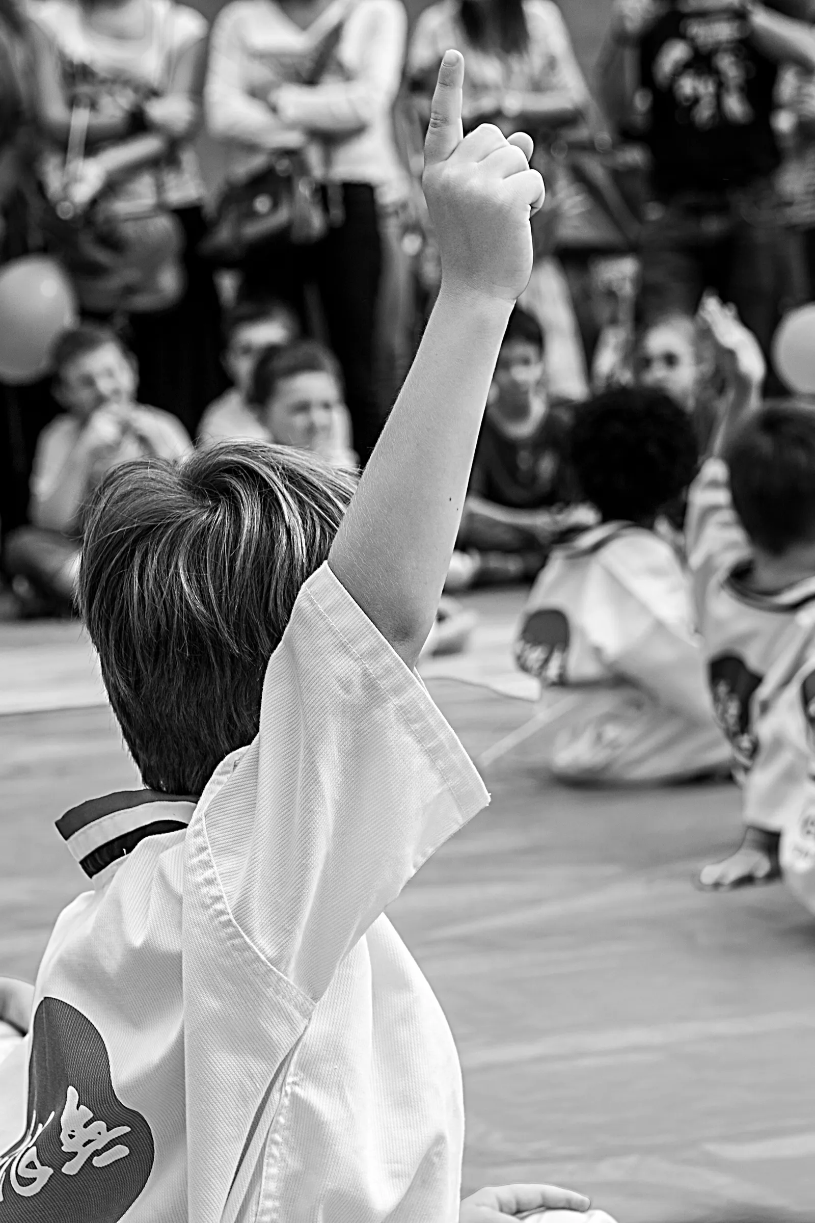 Gimnasio Mugendo Basauri — kampsport-studio i Elexalde — bild 3
