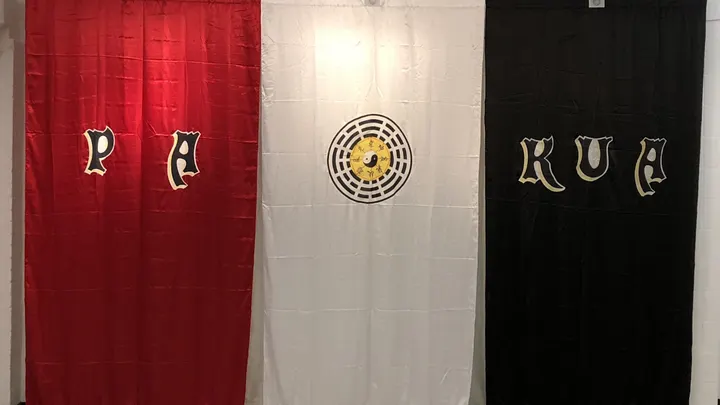 Pa-Kua am Grindel — kampfsport-studio in Hamburg — 3