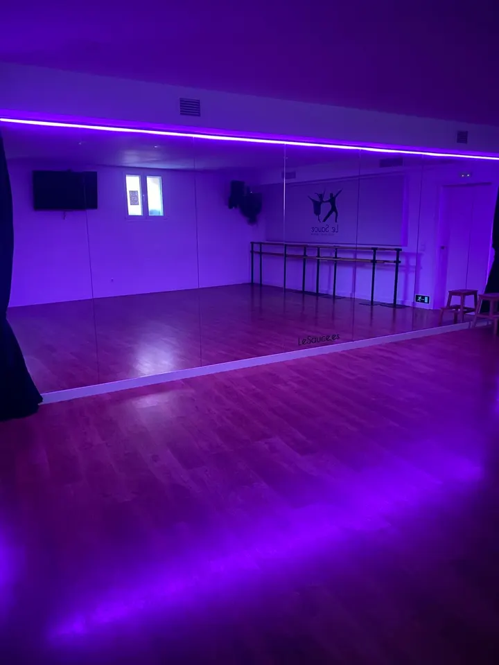 Le Sauce Madrid — baile-studio en Madrid — 4