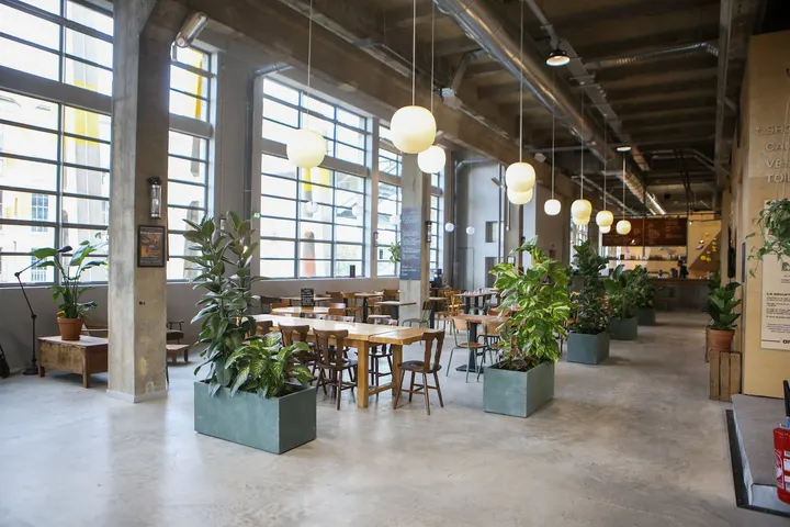 Arkose Arboretum — escalade-studio à Quartier de la République, Nanterre — 2