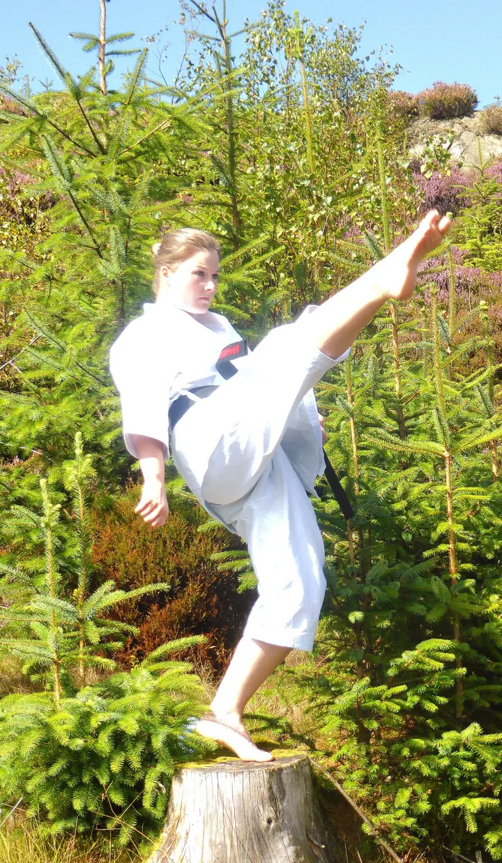 Hokushin Karate Academy Park Villa Sports Hub — martial arts-studio in Shieldhall, Glasgow — 2