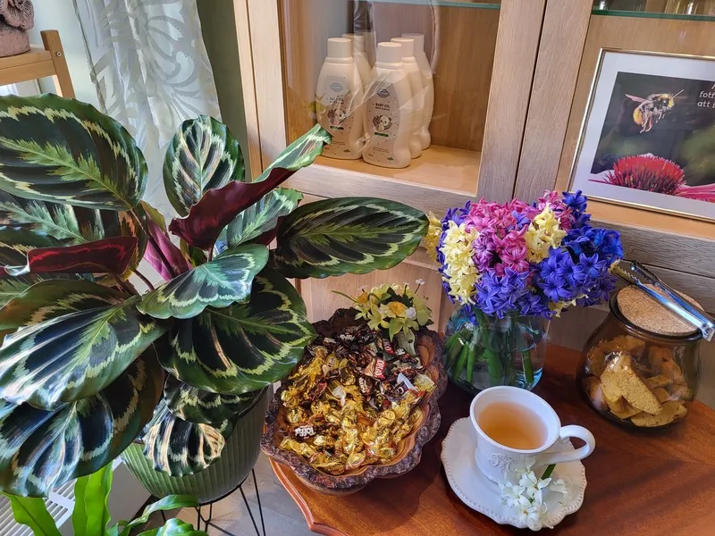 Din Kropp i Lund — återhämtning-studio i Lund — bild 4
