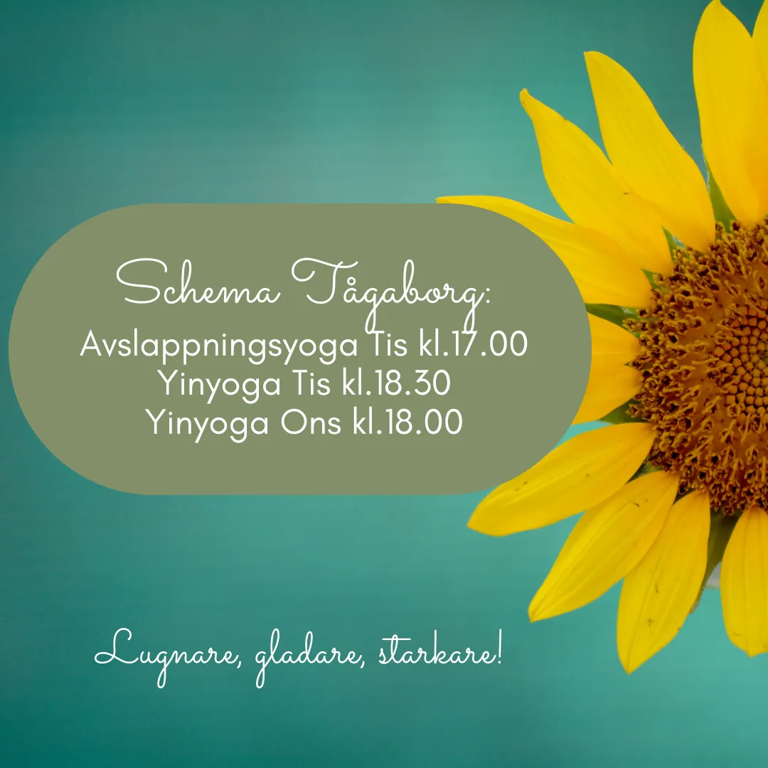 Yviva Yoga — yoga-studio i Helsingborg — 3