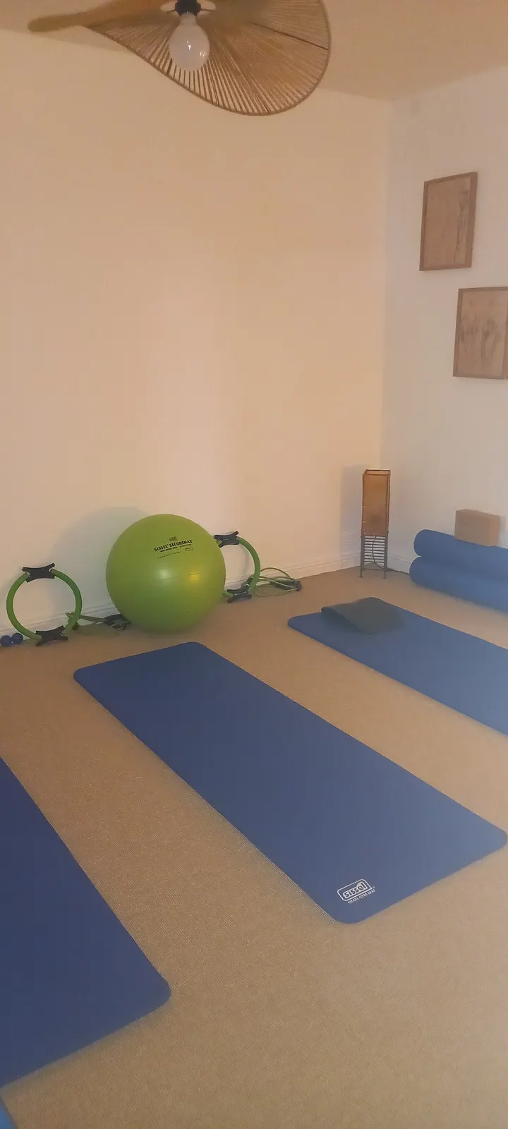 Christine PILATES Stretching Coaching Angers Les Banchais — pilates-studio à Deux-Croix - Banchais, Angers — 2