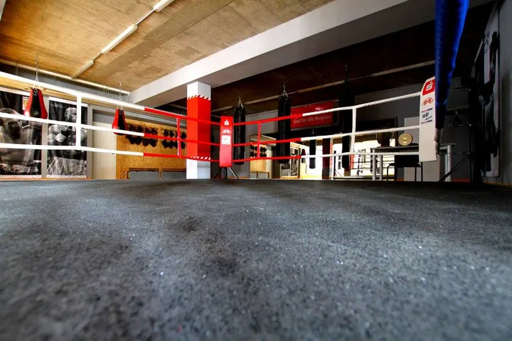 KSSV Zwickau — boxen-studio in Gebiet Äußere Dresdner Straße / Pöhlauer Straße, Zwickau — 2